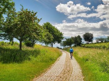 Rear view of man walking on road against sky