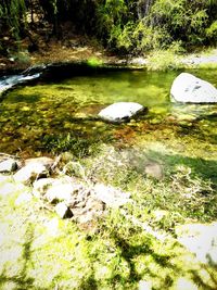 Scenic view of lake