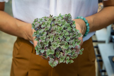 Midsection of woman holding plant