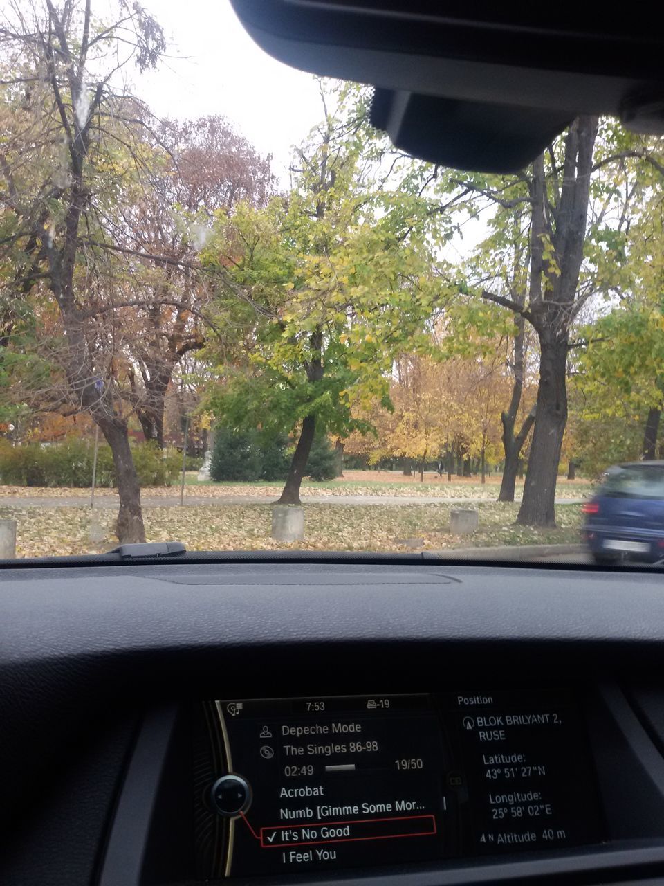 tree, vehicle interior, car interior, car, transportation, windshield, land vehicle, mode of transport, no people, dashboard, close-up, day, nature, outdoors