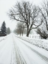 Snow covered road amidst bare trees against sky