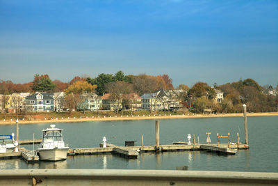 Sailboats moored at harbor against sky