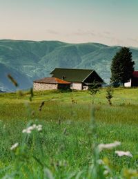 Scenic view of field by houses against sky