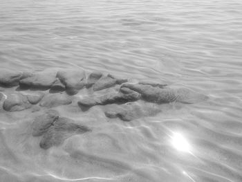 High angle view of sandy beach