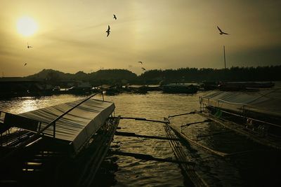 Birds flying over sea against sky during sunset