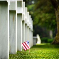 Close-up of small flag on grass