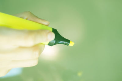 Close-up of hand holding leaf