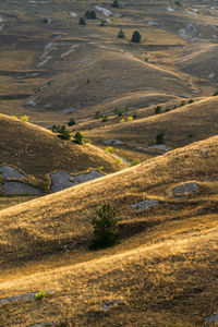 Scenic view of landscape