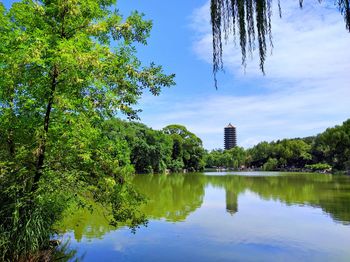 View of green lake with trees and pagoda on distant