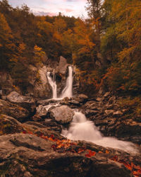 View of waterfall in forest