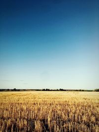 Scenic view of field against clear blue sky