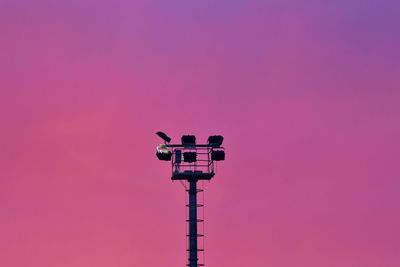 Low angle view of bird perching on pole against sky