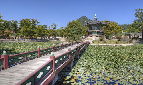 Walkway by lake in park against clear sky