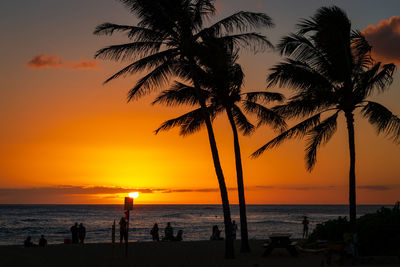 Silhouette palm trees on beach against sky during sunset