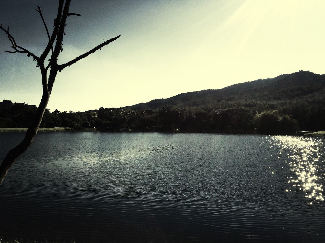 water, tree, tranquil scene, tranquility, lake, scenics, mountain, beauty in nature, clear sky, nature, waterfront, rippled, river, branch, sky, reflection, bare tree, idyllic, mountain range, outdoors