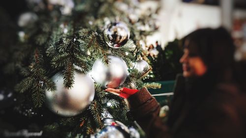 Close-up of christmas tree