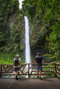 Rear view of man looking at waterfall against trees