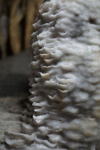 Close-up of bread