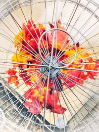 Close-up of multi colored umbrella