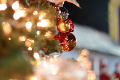 Close-up of christmas tree