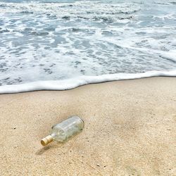 High angle view of empty beer bottle at beach