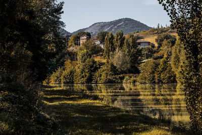 View of trees by lake against sky