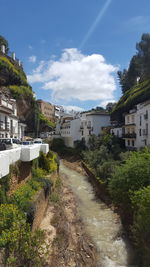 Plants and buildings against sky