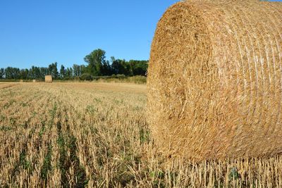 Hay bales on field against clear sky