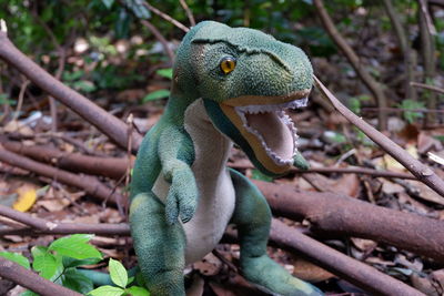 Tirex dinosaur doll that is looking for prey