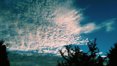 Low angle view of trees against cloudy sky