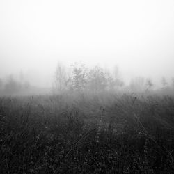 Scenic view of field against sky during foggy weather