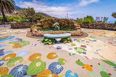 View of multi colored flowers