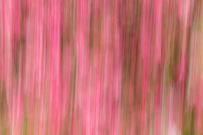 Full frame shot of multi colored background