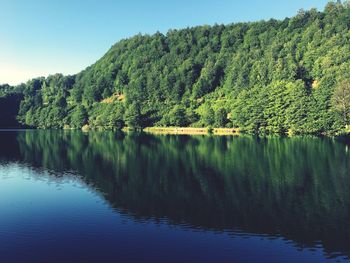 Scenic view of lake in forest against clear sky