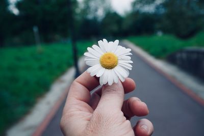 Close-up of hand holding flower