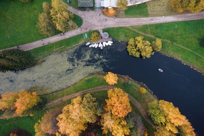 High angle view of flowering plants by lake