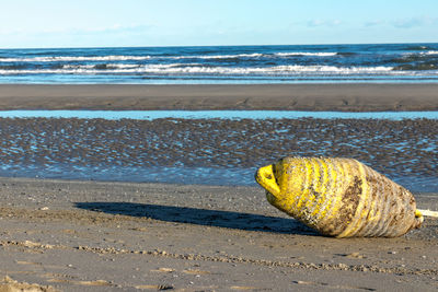 Scenic view of sea shore against sky