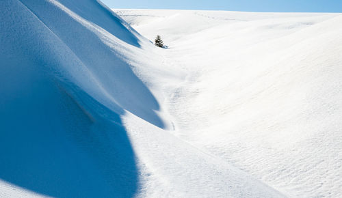 Aerial view of snow covered land