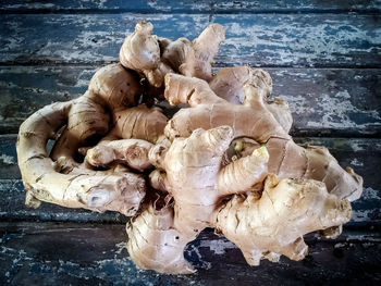 Close-up of mushrooms on wood