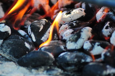 Close-up of bonfire