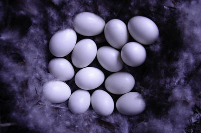 High angle view of eggs in container