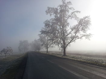 Road passing through field