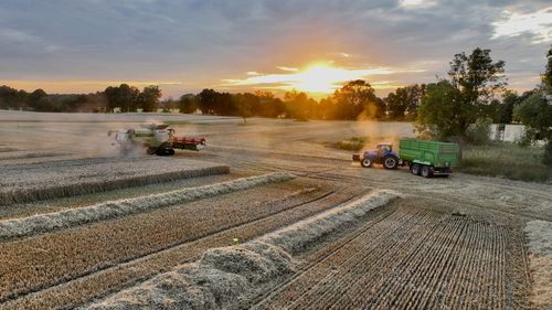 Scenic view of agricultural field against sky during sunset