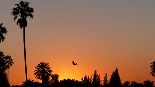 Silhouette bird flying against sky during sunset