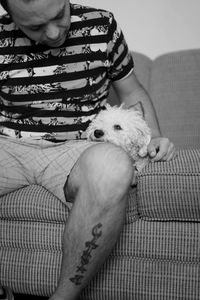 Close-up of hand holding dog sitting on sofa at home