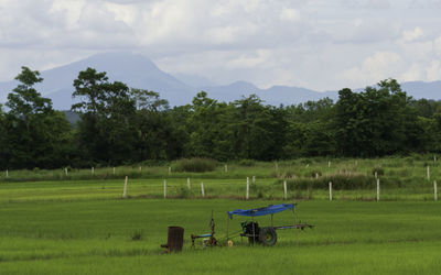 Scenic view of field against sky