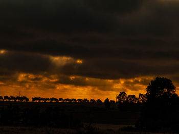 Silhouette trees against sky during sunset