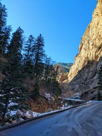 Road by trees against blue sky during winter