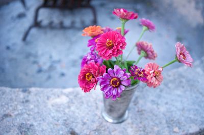 High angle view of pink flowers