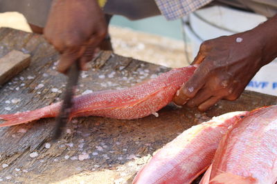 Cropped image of man cutting raw fish at fish market